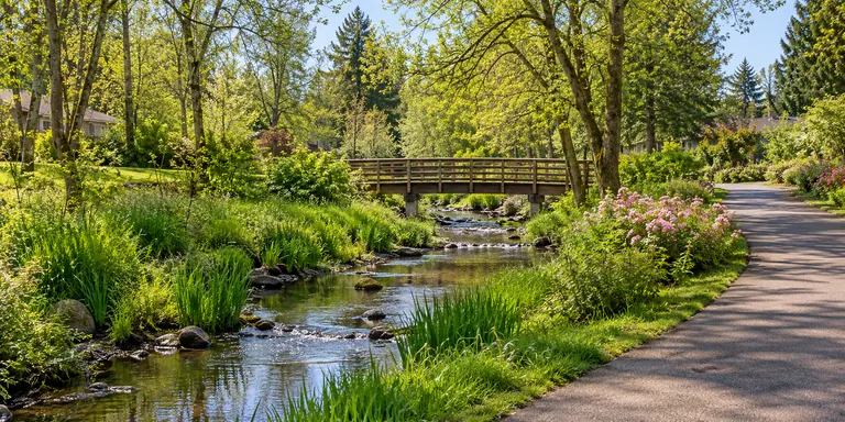 Illustrative creekside greenway inspired by Tigard, Oregon